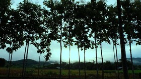 At Pai Resort