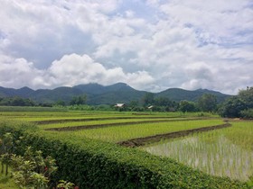 At Pai Resort