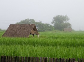 Baan Rabiang Pai