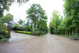 Baan Salee Pai