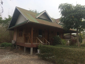 Baan Suan Violin