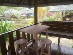 Baan Suan Violin
