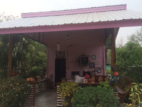 Baan Suan Violin