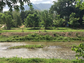 Baantawan Guesthouse Pai
