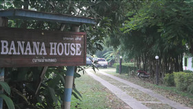 Banana House Pai