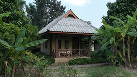 Banana House Pai