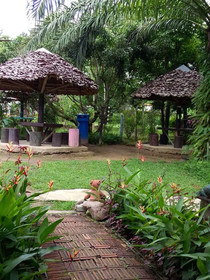 Banana House Pai