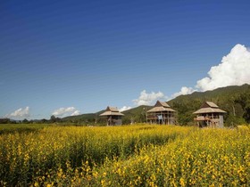 Blue Sky Pai Resort