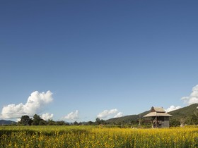 Blue Sky Pai Resort