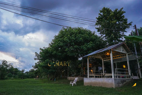 Canary Guesthouse