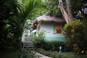 Canary Guesthouse
