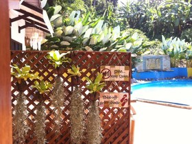 Chang Pai Resort