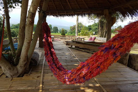 Chilling Hill Guesthouse