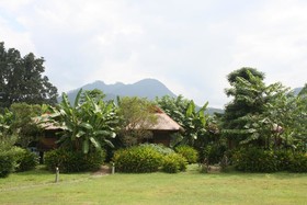 Good Morning Pai