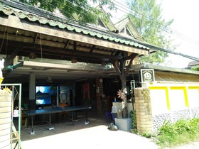 Happy House Backpacker