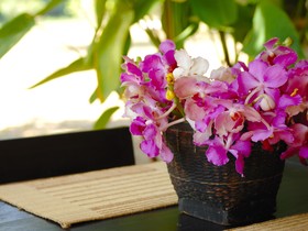 Hotel Baan Nam Pai Retreat House