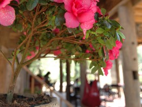 Hotel Baan Nam Pai Retreat House