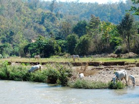 Hotel Baan Nam Pai Retreat House