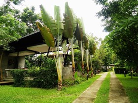 Huen Muang Pai