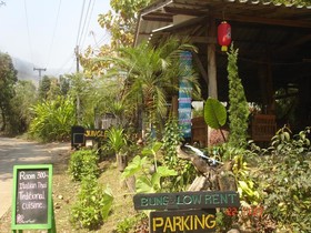 Jungle Zone - Hostel