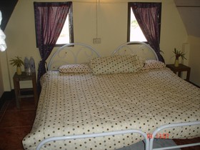 Jungle Zone - Hostel