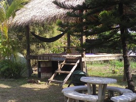 Jungle Zone - Hostel