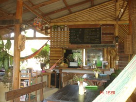 Jungle Zone - Hostel