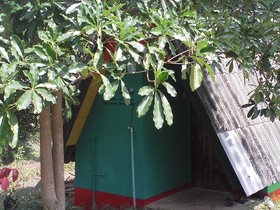 Jungle Zone - Hostel