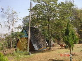 Jungle Zone - Hostel