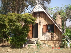 Jungle Zone - Hostel