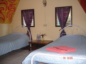 Jungle Zone - Hostel