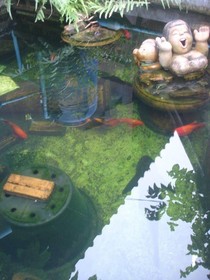 Kanravee Guesthouse