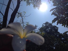 Kod Pai Guest House