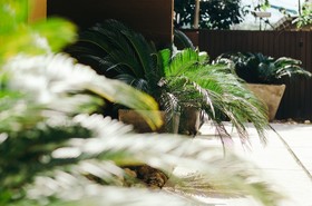 Lilu Hotel Pai