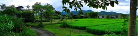 Love Pai Home