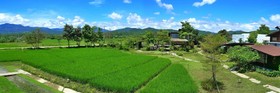 Love Pai Home
