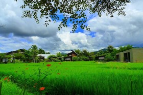 Love Pai Home
