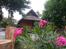 Pai Cat Hut Guesthouse