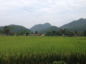 Pai Chan Cottage & Cuisine