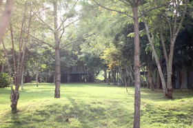 Pai Flora Resort