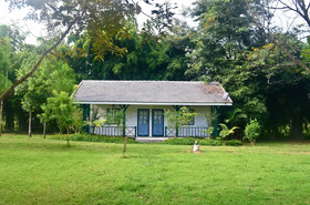 Pai Flora Resort