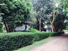 Pai Flora Resort