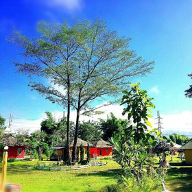Pai Forest Resort