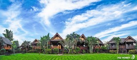 Pai Homey