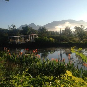 Pai Laguna