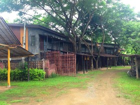 Pai Laguna
