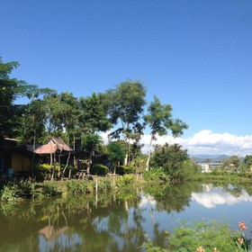 Pai Laguna