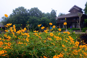 Pai Loess Resort