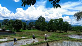 Pai Panalee The Nature Boutique Hotel