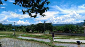 Pai Panalee The Nature Boutique Hotel